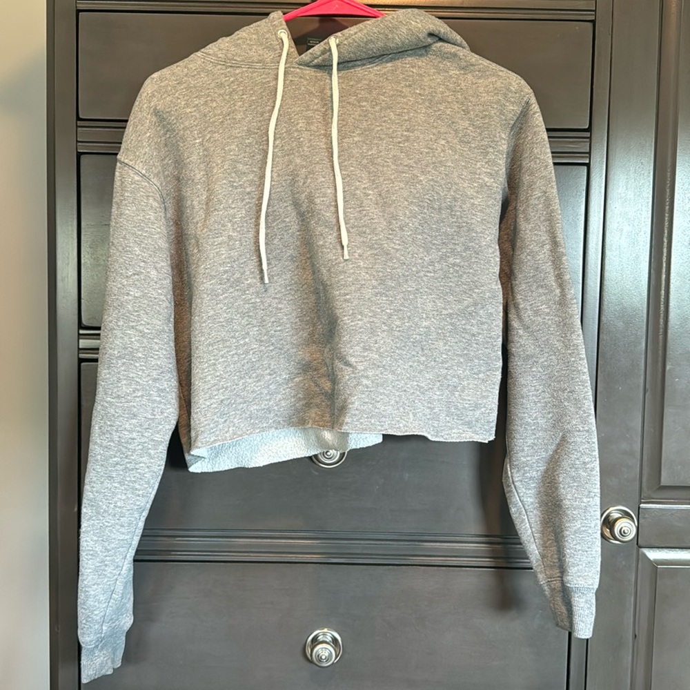 Grey wild fable cropped hoodie
